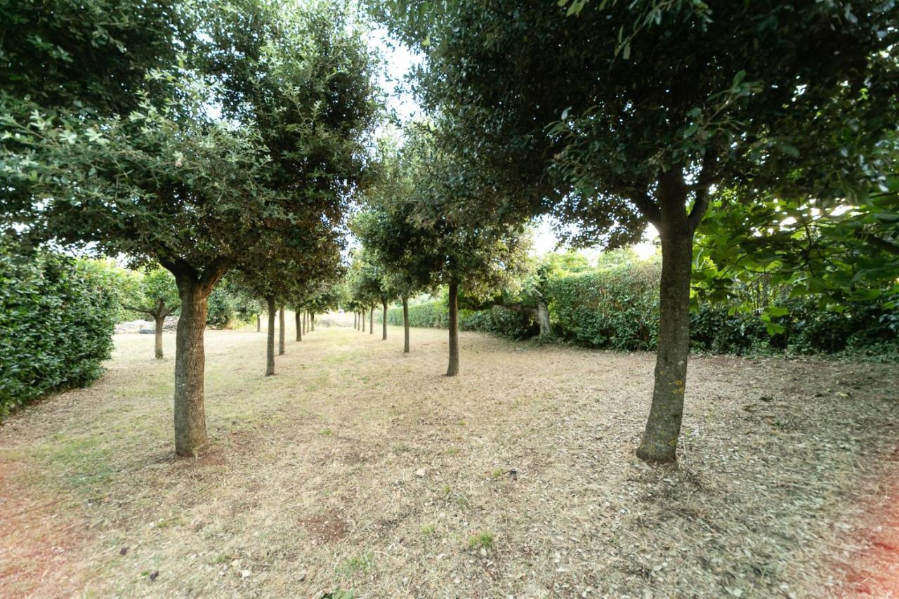 Dimora Beatrice Villa Martina Franca Luaran gambar
