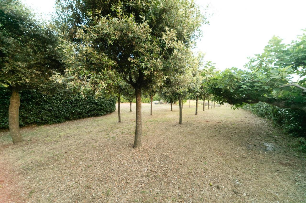 Dimora Beatrice Villa Martina Franca Luaran gambar